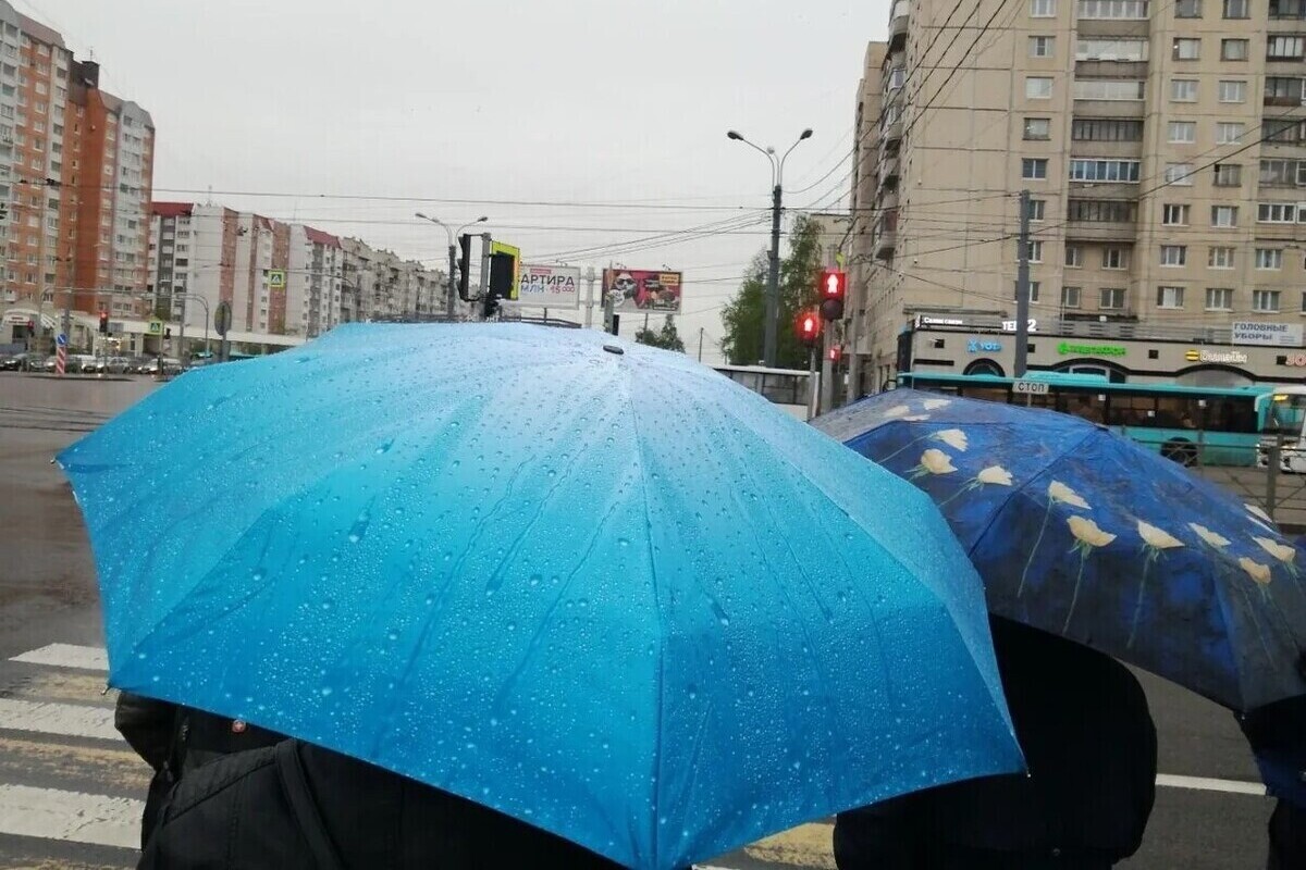 Ближе к вечеру с запада по Петербургу прокатится волна небольших дождей