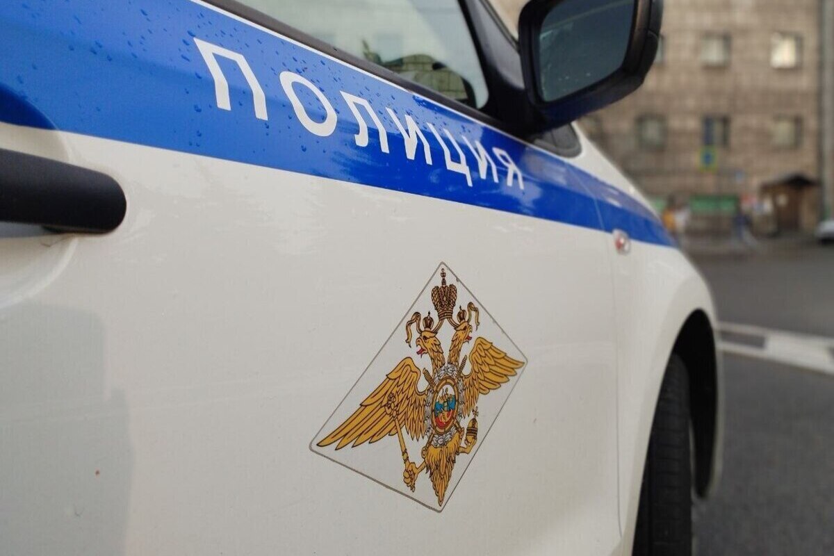 Во Всеволожском районе 20-летний паренёк обокрал 50-летнюю женщину