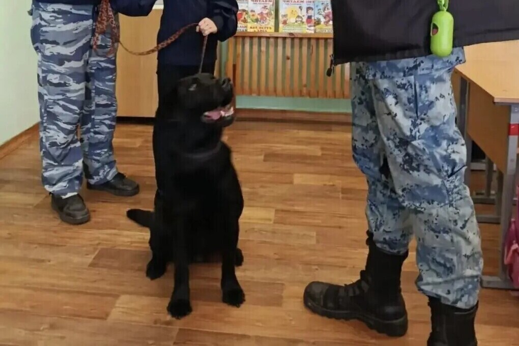 Урок безопасности от кинологов: опочецкие школьники узнали, как действовать при обнаружении подозрительных предметов