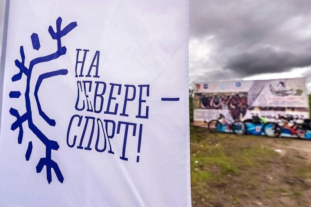 В Мурманской области 4 октября пройдет спортивный диктант