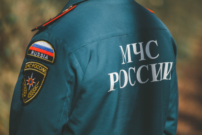 Курьер решил срезать путь через лес и едва не утонул в болоте