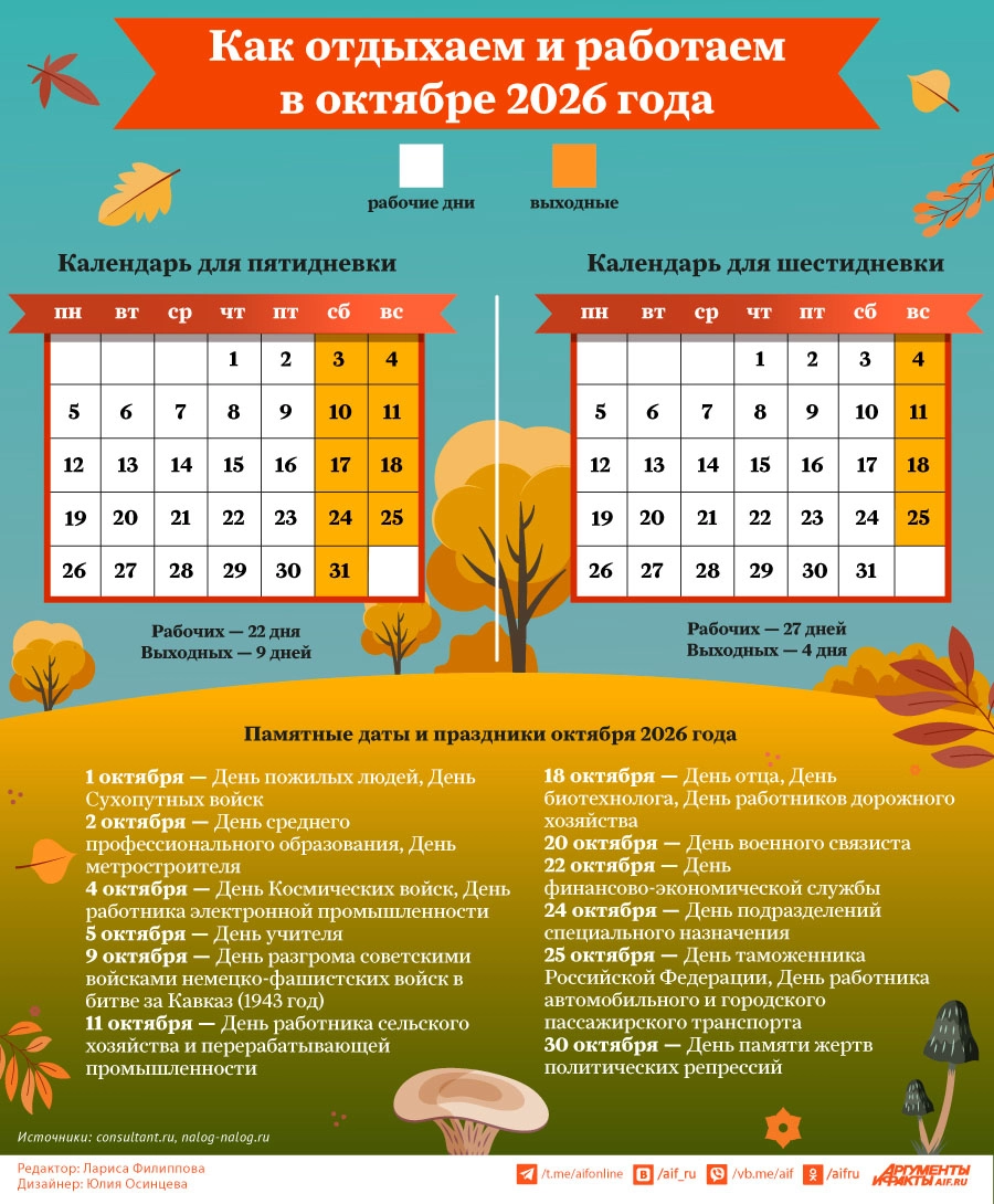 Как отдыхаем и работаем в октябре 2026 года. Инфографика