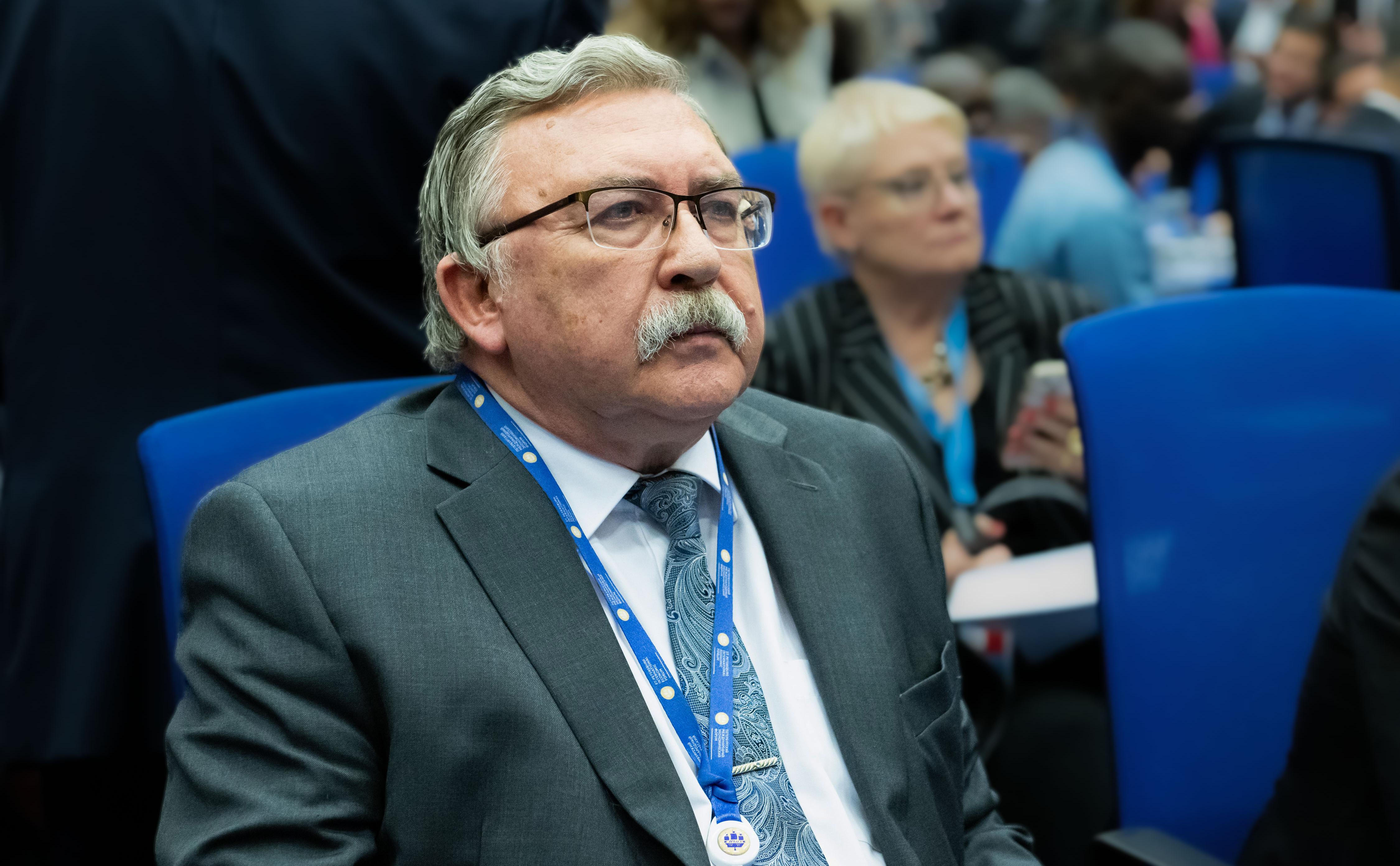 Ульянов связал число «клоунов» в политике с размерами страны