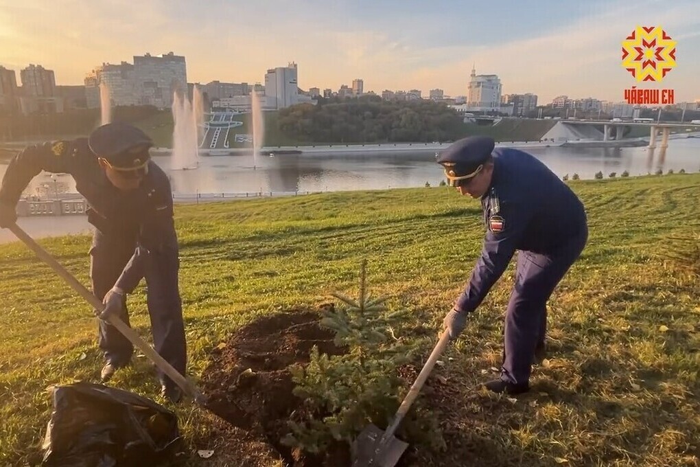 Аллею «300-лет прокуратуре России» в центре Чебоксар дополнили новыми растениями