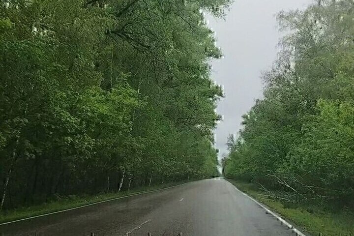 В Белгородской области в воскресенье пройдут дожди