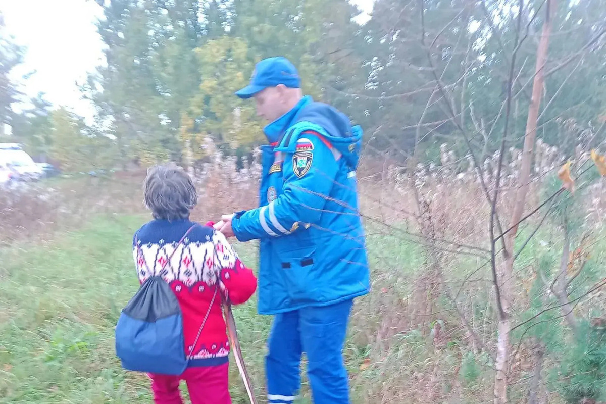 Спасатели нашли потерявшуюся женщину в садовом некоммерческом товариществе «Лесник»