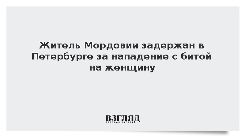 МВД: В Петербурге задержали приезжего из Мордовии за избиение женщины битой