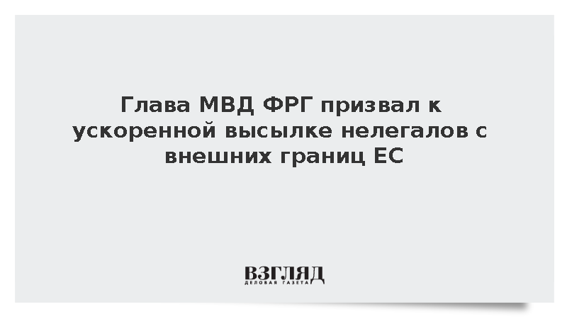 Глава МВД ФРГ Добриндт предложил ускоренную высылку нелегалов с границ ЕС