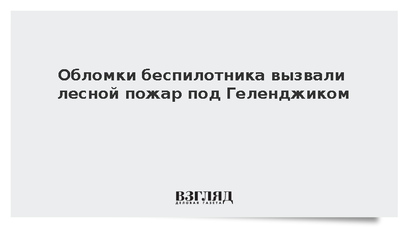 Обломки сбитого дрона спровоцировали лесной пожар в районе Геленджика