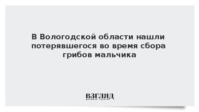 В лесу Вологодской области нашли потерявшегося 11-летнего мальчика