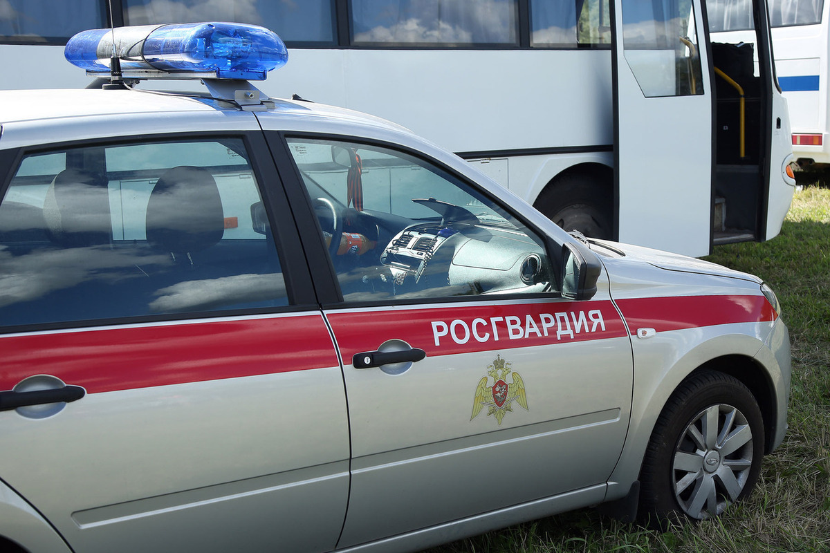 Трое россиян устроили драку в клубе и напали на росгвардейцев