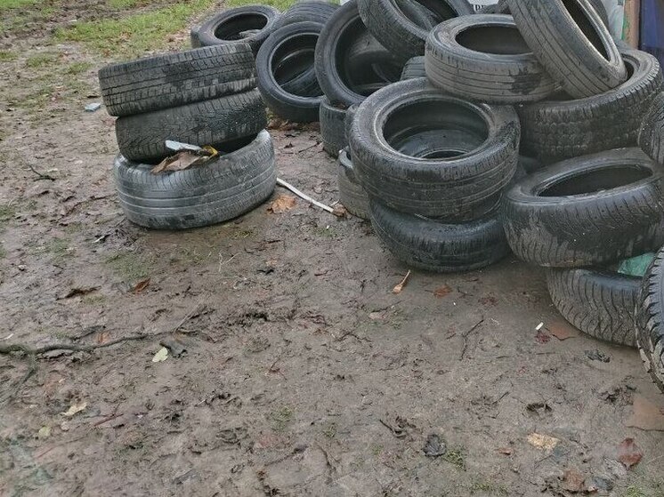 В Пикалево нашли свалку из 300 куб. м строительного мусора и старых шин