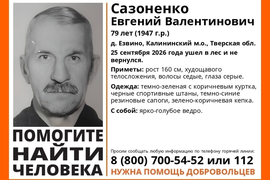 В лесу в Тверской области пропал пожилой мужчина