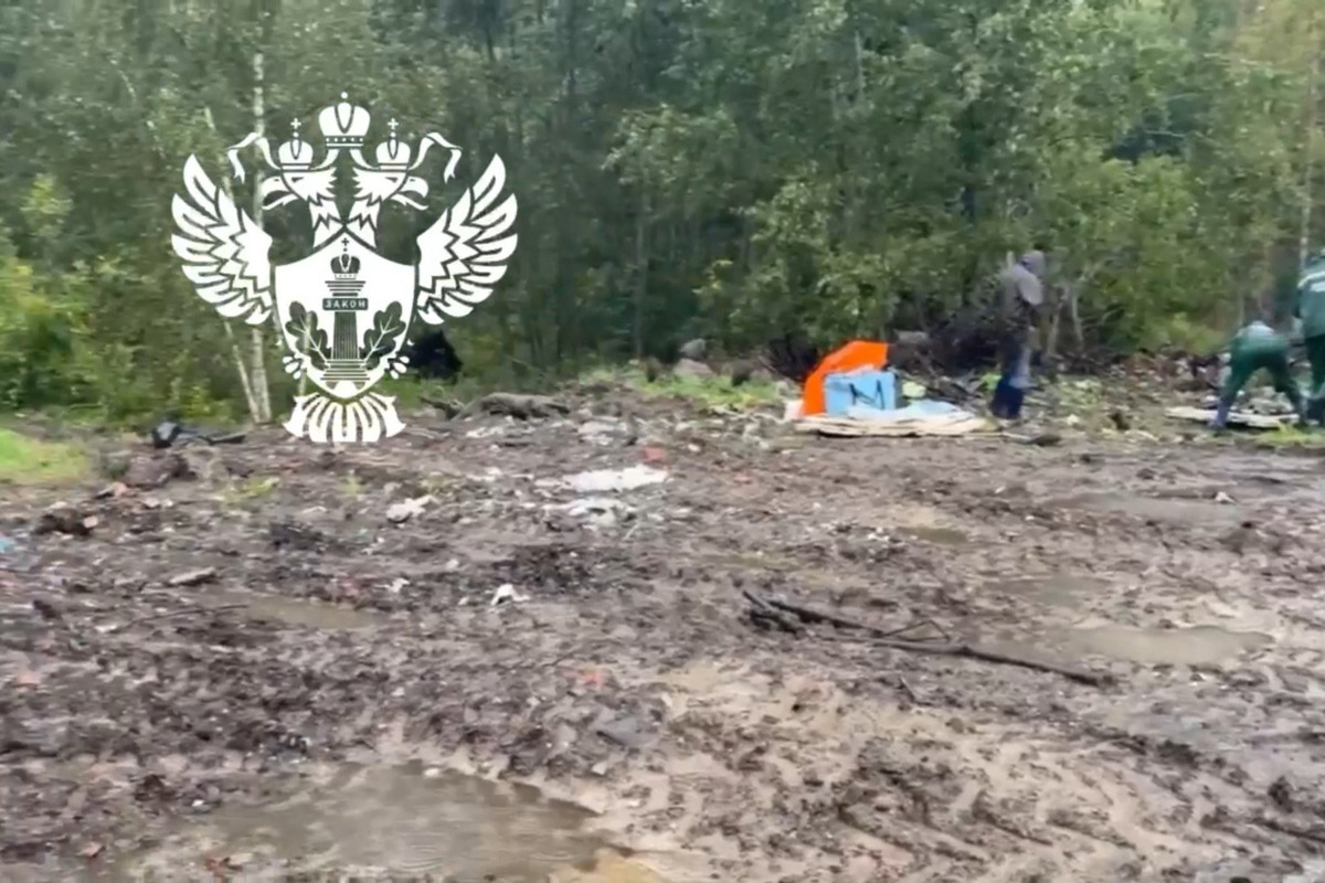 В Отрадном неизвестные устроили свалку возле зеленых насаждений