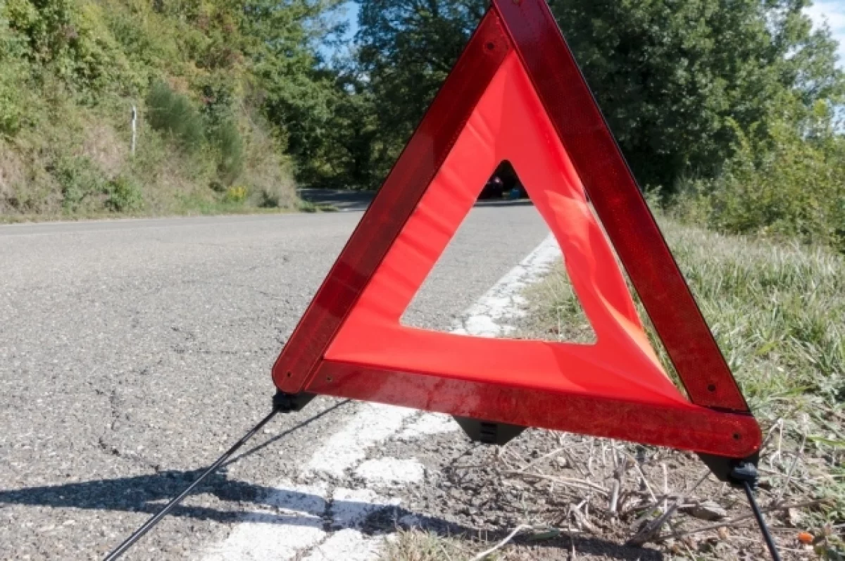 В Хосте автобус врезался в стену, водитель получил травмы