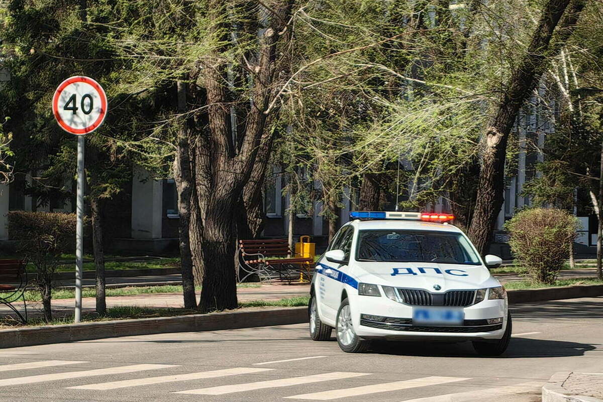 Калининградская ГАИ начала «охоту» на нарушения у пешеходных переходов