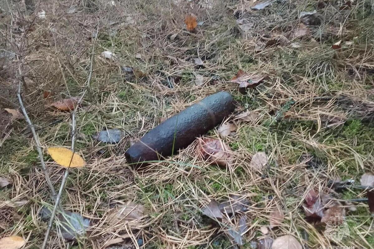 В лесополосе Старооскольского округа нашли старый артснаряд