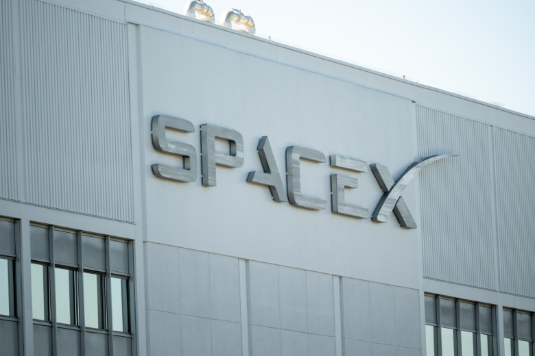 Расширение SpaceX ставит под угрозу жизни последних диких оцелотов в США