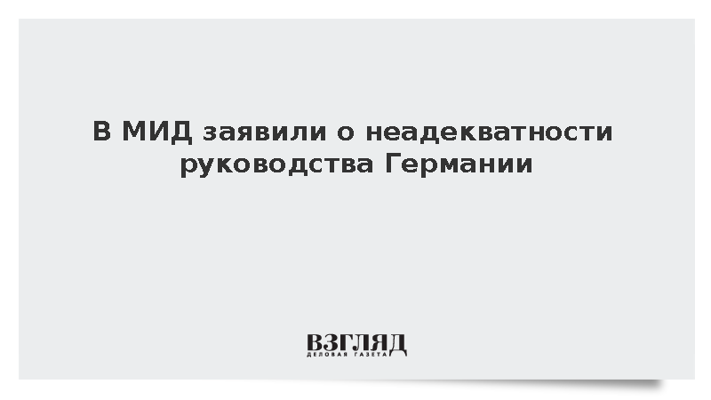 Замглавы МИД Любинский обвинил немецких политиков в неадекватности