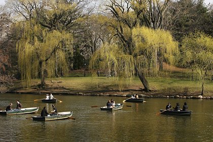Учительница и ученик захлебнулись в водохранилище при загадочных обстоятельствах