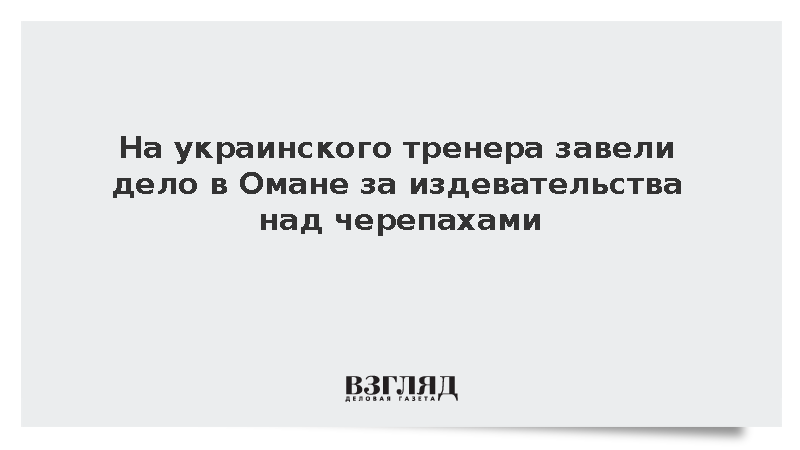 На украинского тренера завели дело в Омане за издевательства над черепахами