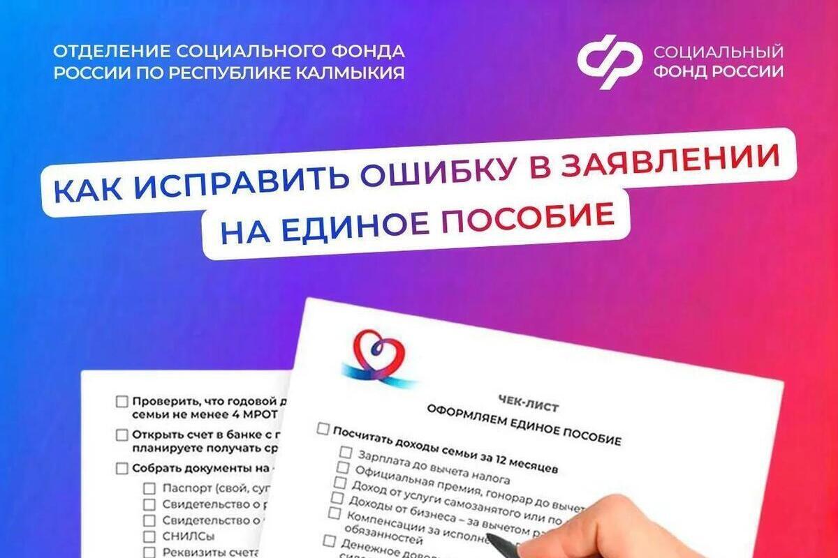 Жителям Калмыкии рассказали о способах исправления ошибок в заявлении на единое пособие