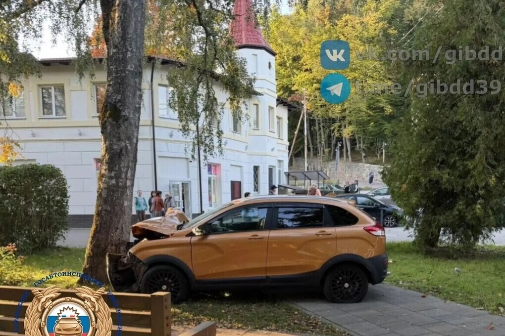 Lada в Светлогорске устроила себе внеплановую встречу с деревом