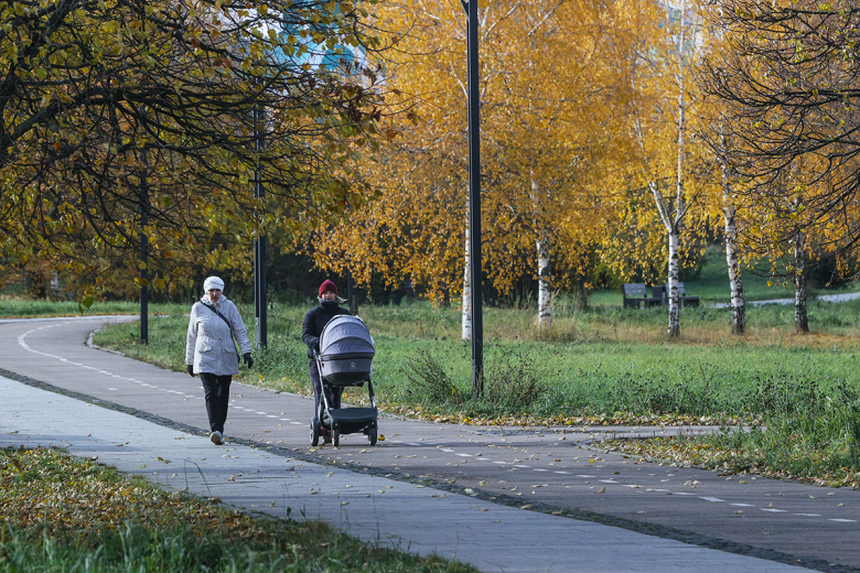 Москва пережила самую холодную ночь за несколько месяцев