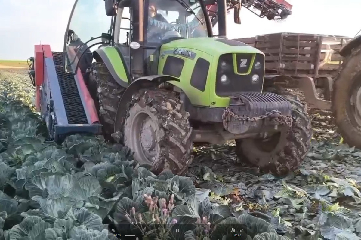 Ленинградские аграрии спасают урожай от непогоды
