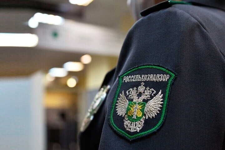 В Краснодаре выявили нарушения на прилавках Кубанской ярмарки
