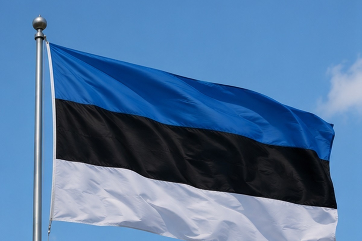 Крупнейшие медиакомпании Эстонии попросили вернуть русский дубляж