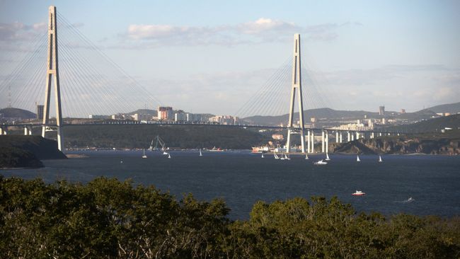 Во Владивостоке проверят информацию о загрязнении бухты Аякс