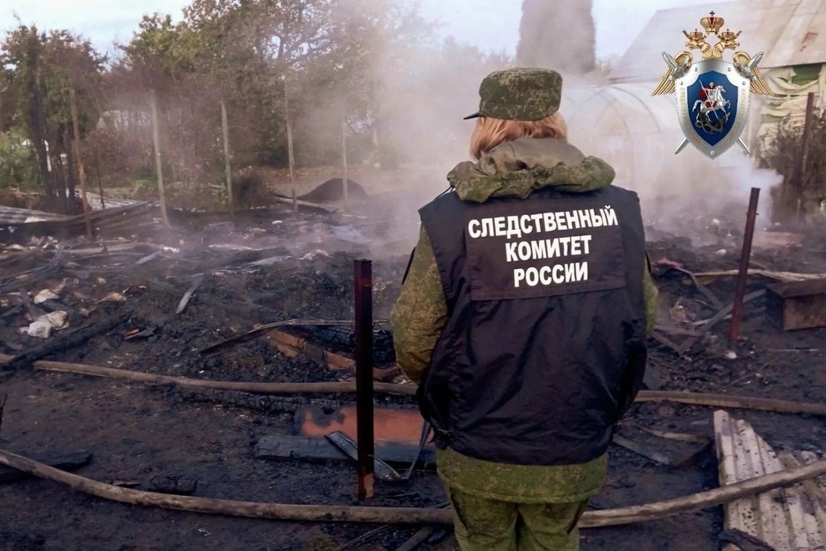 Костромские трагедии: при пожаре в садовом товариществе погибла пожилая дачница