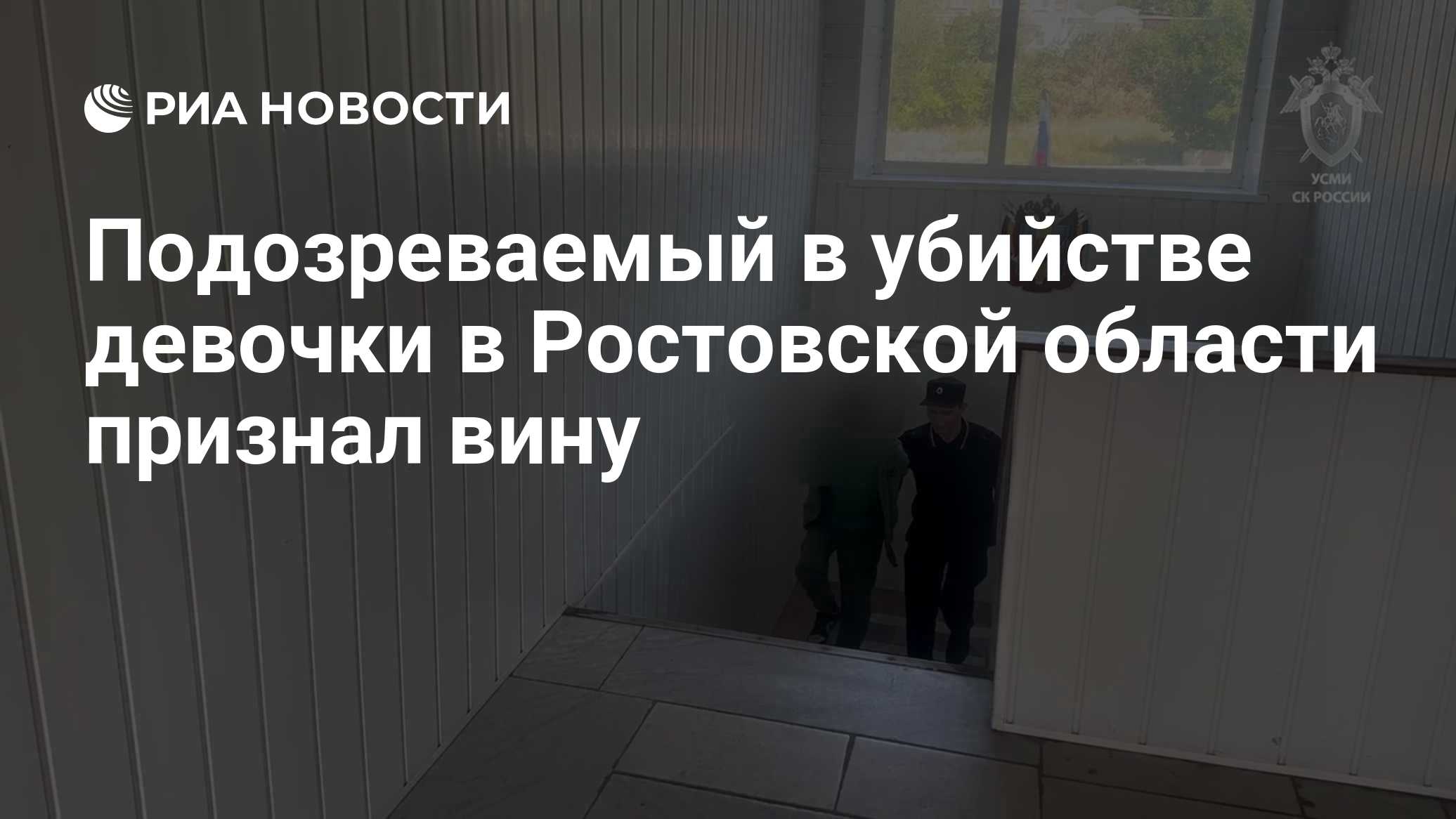 Подозреваемый в убийстве девочки в Ростовской области признал вину