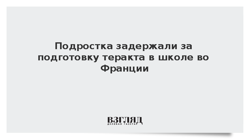 Figaro: Во Франции подростка задержали за подготовку теракта в школе