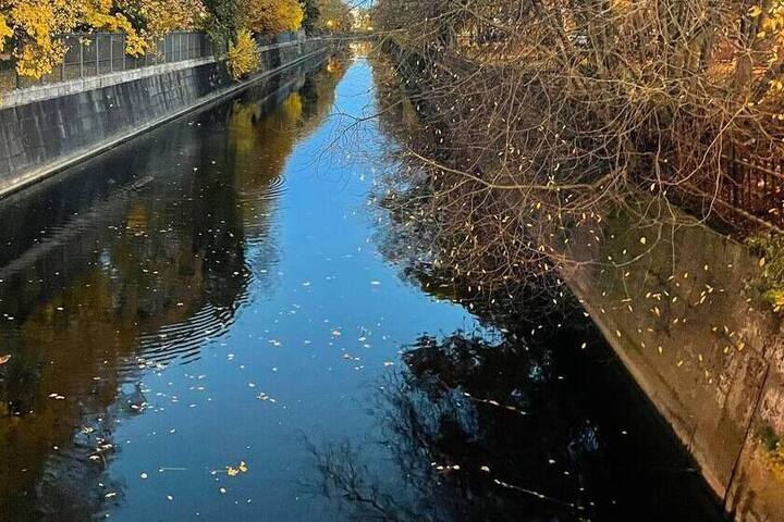 В Калининграде 44 частника заподозрили в сбросе сточных вод в Северный ручей