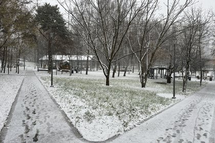 Москвичей предупредили об аномальном декабре