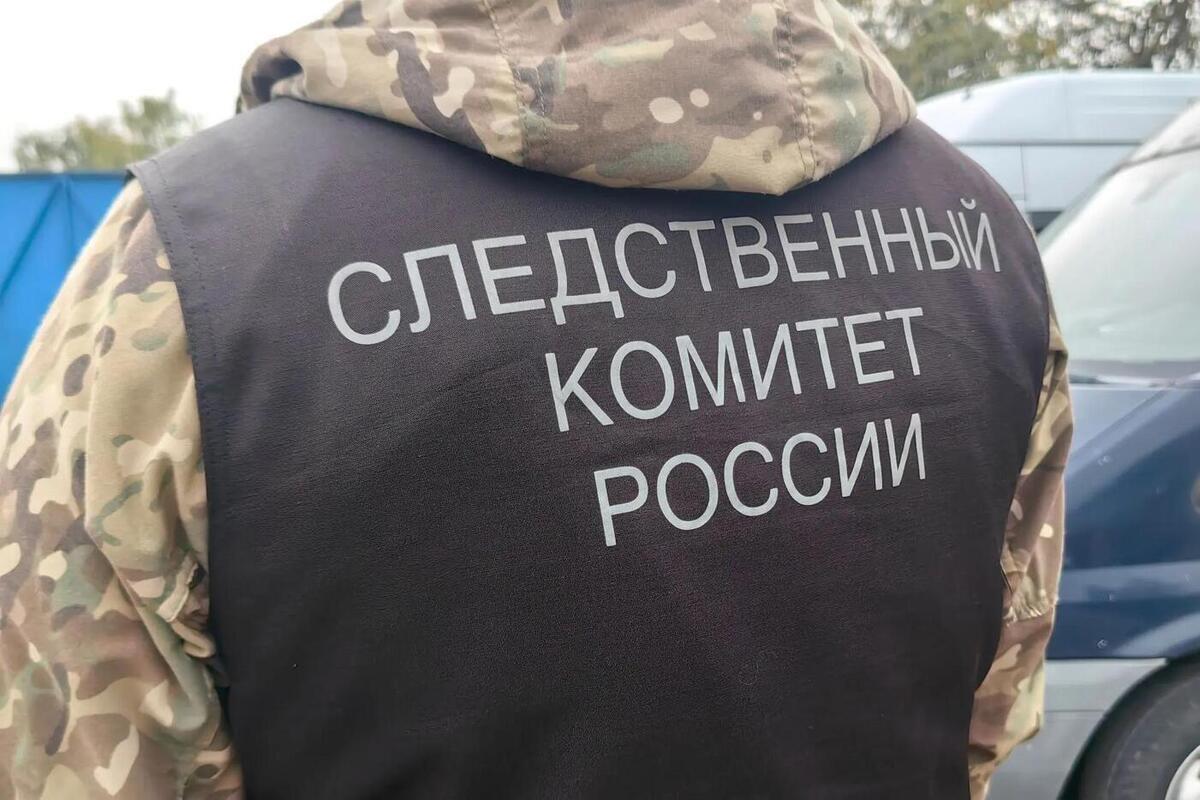 16-летнего курьера мошенников обвинили в хищении 2 млн рублей у пенсионера из Сердобска