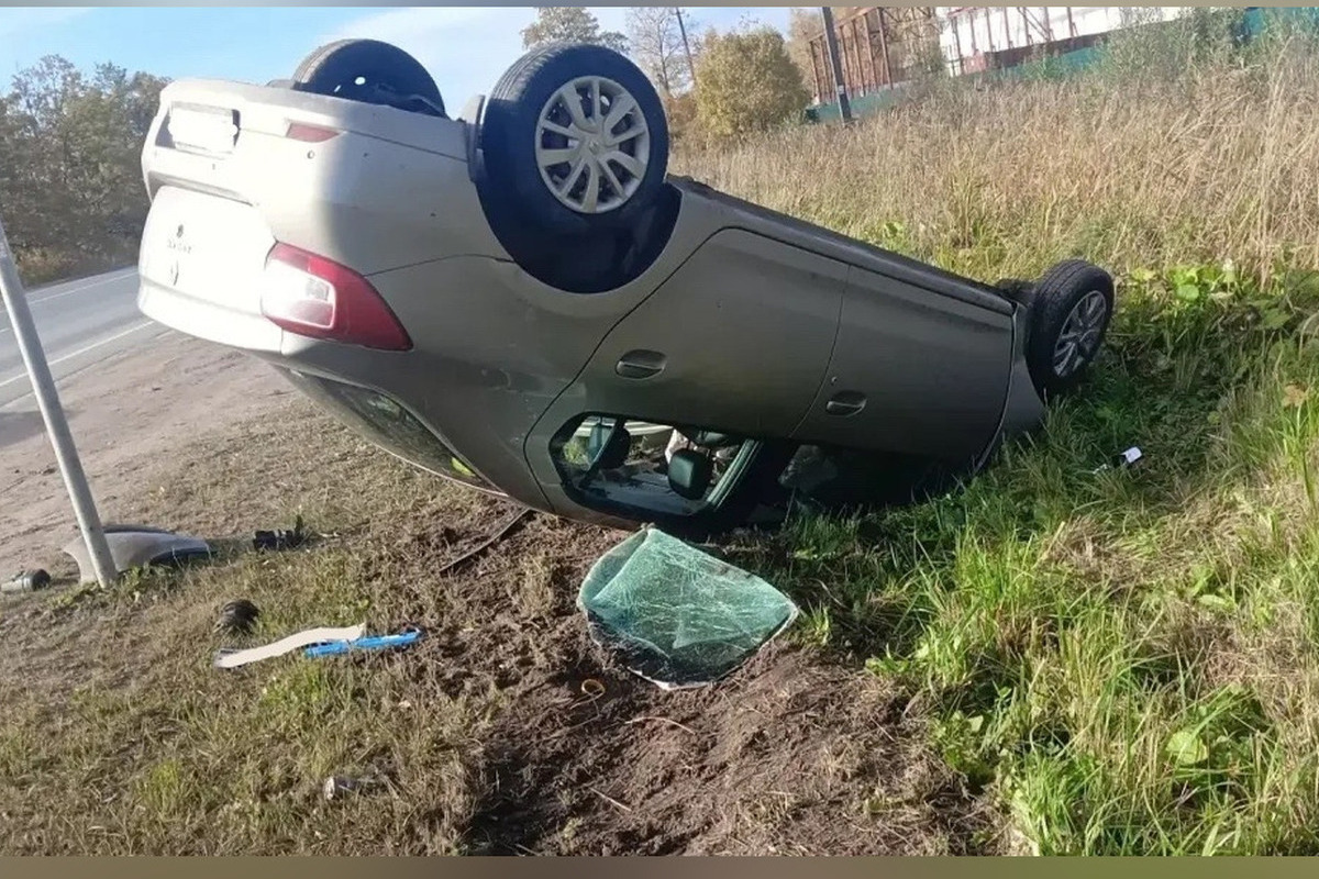 На ФАД Р-56 в Новгородском округе «Рено» врезался в ЛЭП и улетел в кювет