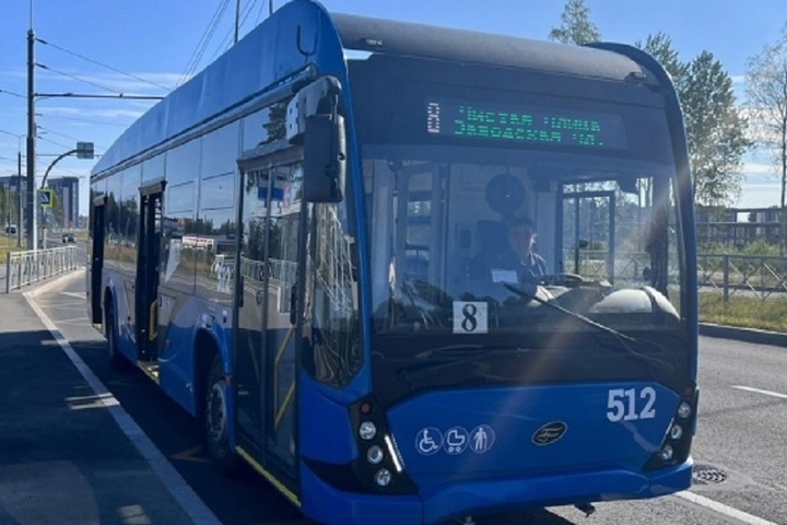 Троллейбусы в Петрозаводске 1 октября будут возить пожилых пассажиров бесплатно