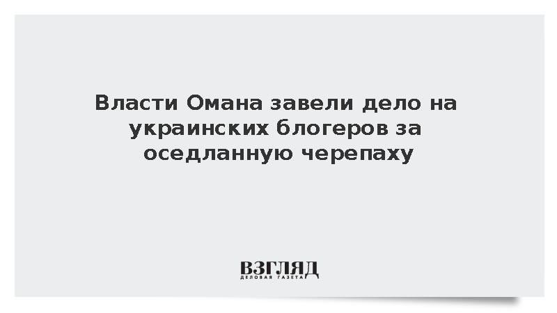 Оман завел дело на украинских блогеров за издевательство над черепахой
