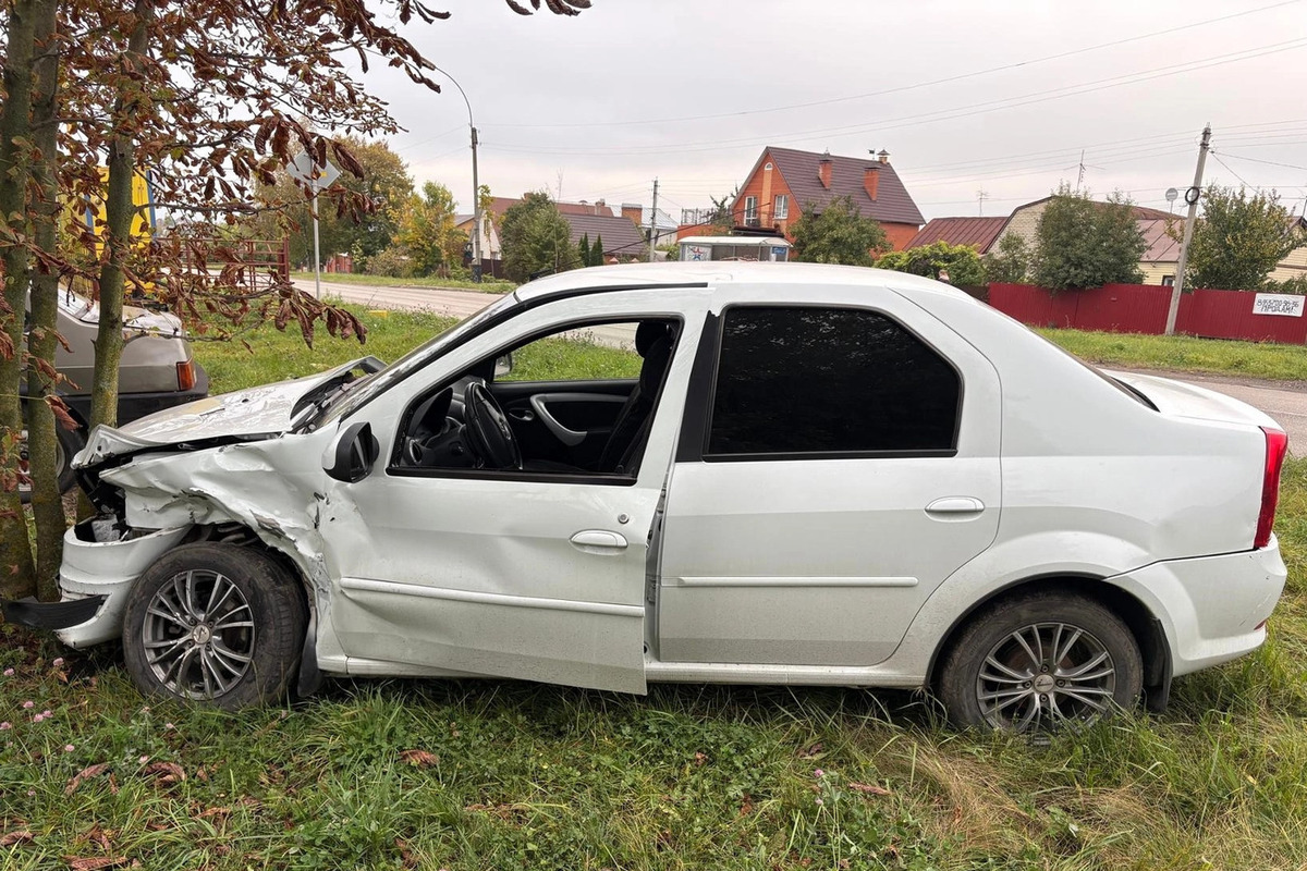 В Тамбове на улице Воронежской машину выбросило в дерево