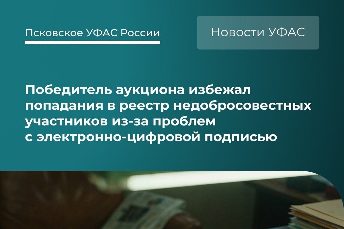Псковского подрядчика не включили в реестр недобросовестных участников торгов из-за командировки