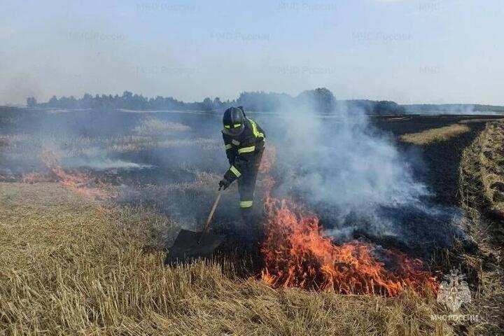 В Орловской области с начала года подтвердились 142 термические точки