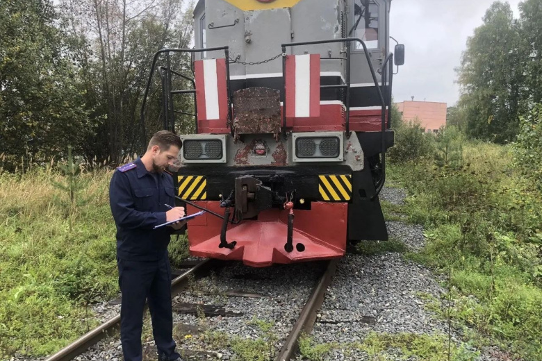 В российском регионе завели дело из-за схода полувагонов с рельсов