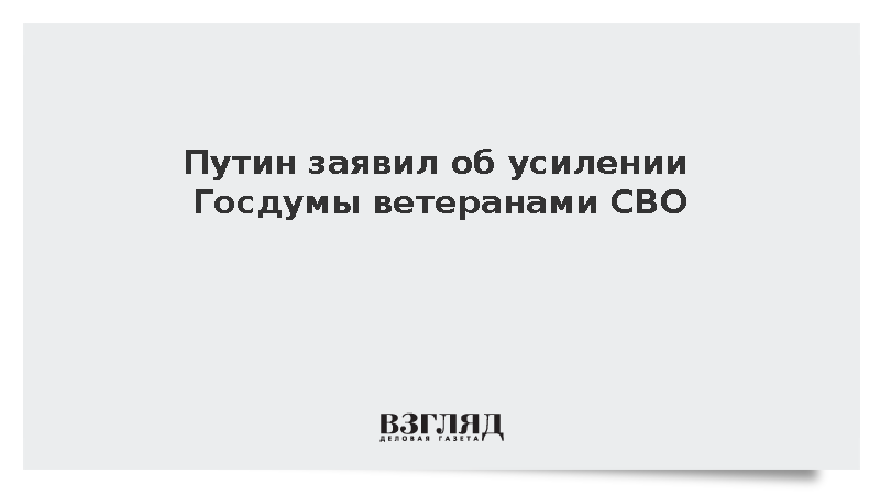 Путин заявил о широкой поддержке ветеранов СВО избирателями на выборах в Госдуму