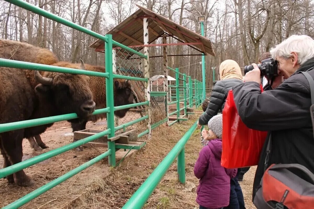 Заповедник Серпухова приглашает пенсионеров на бесплатную экскурсию в Международный день пожилых людей