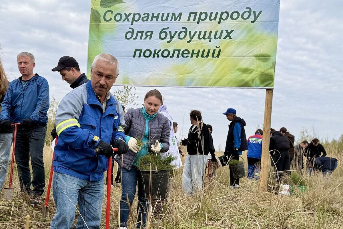 В Чувашии в рамках акции «Сохраним лес» высадили более 34 тыс. саженцев сосны