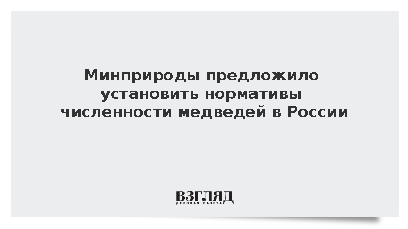 Минприроды предложило установить нормативы численности медведей в России