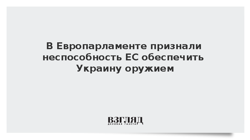 Евродепутат Террас: ЕС не может обеспечить оборонные потребности Украины